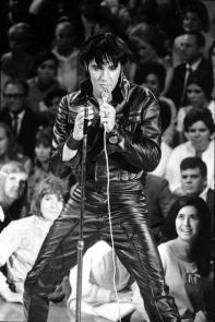 Elvis